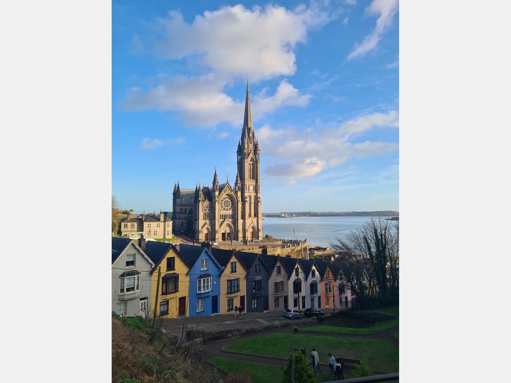 Image from University College Cork