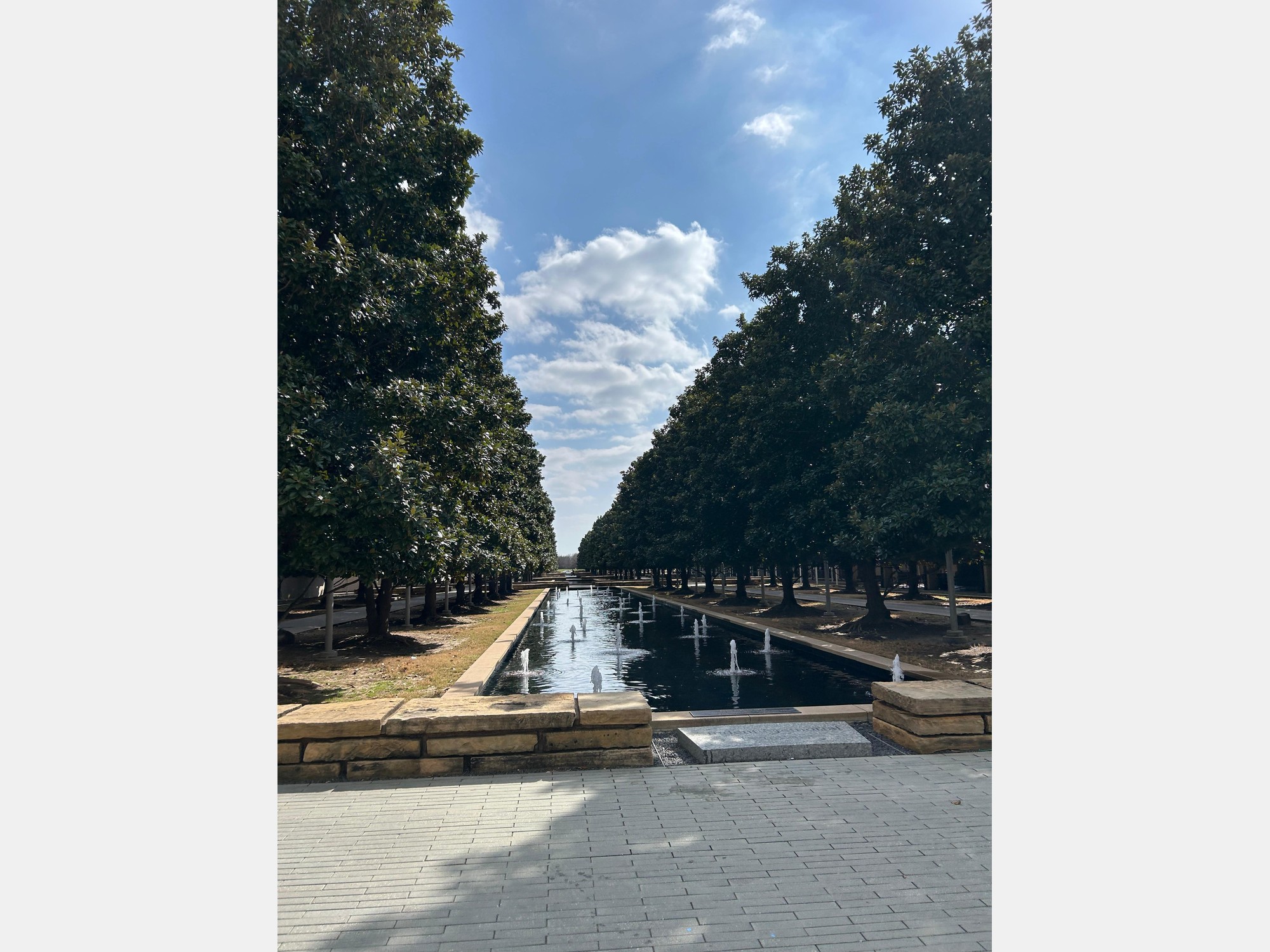 Image from The University of Texas at Dallas
