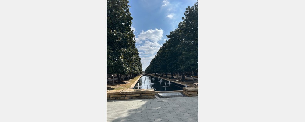 Image from The University of Texas at Dallas