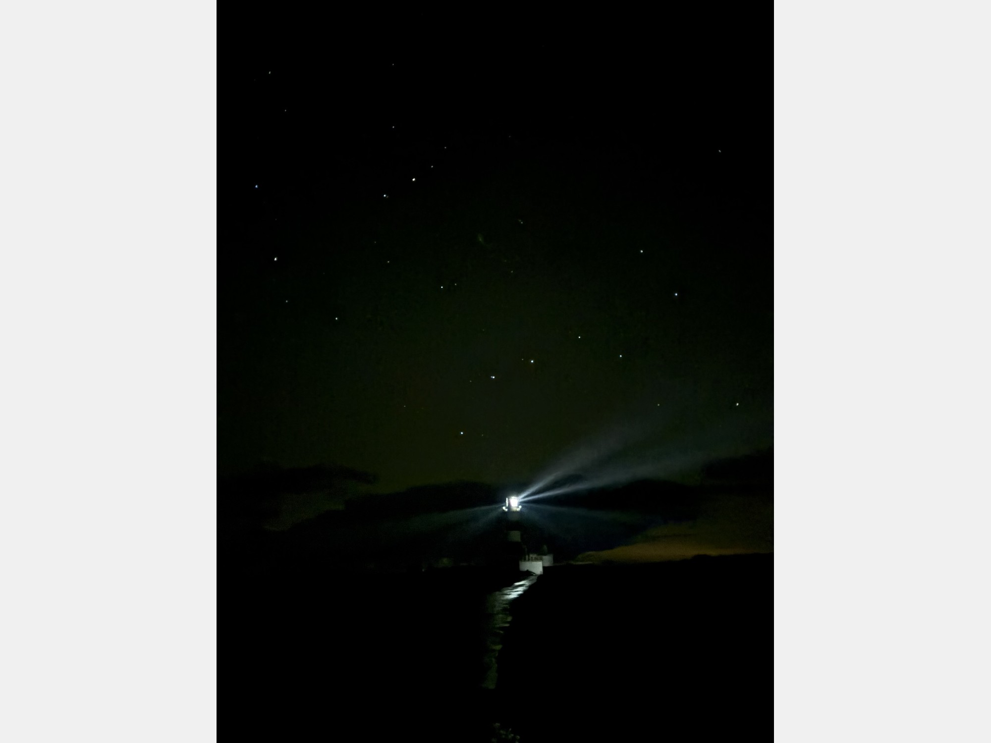 Image from The University of Sheffield