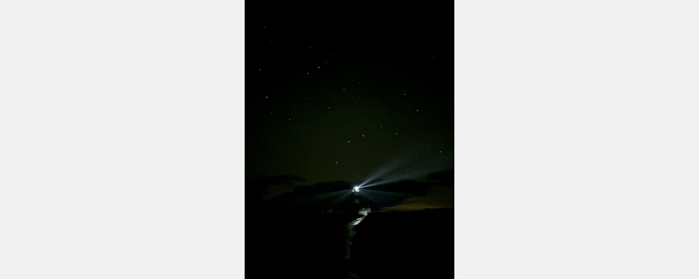 Image from The University of Sheffield