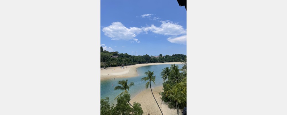 Image from National University of Singapore