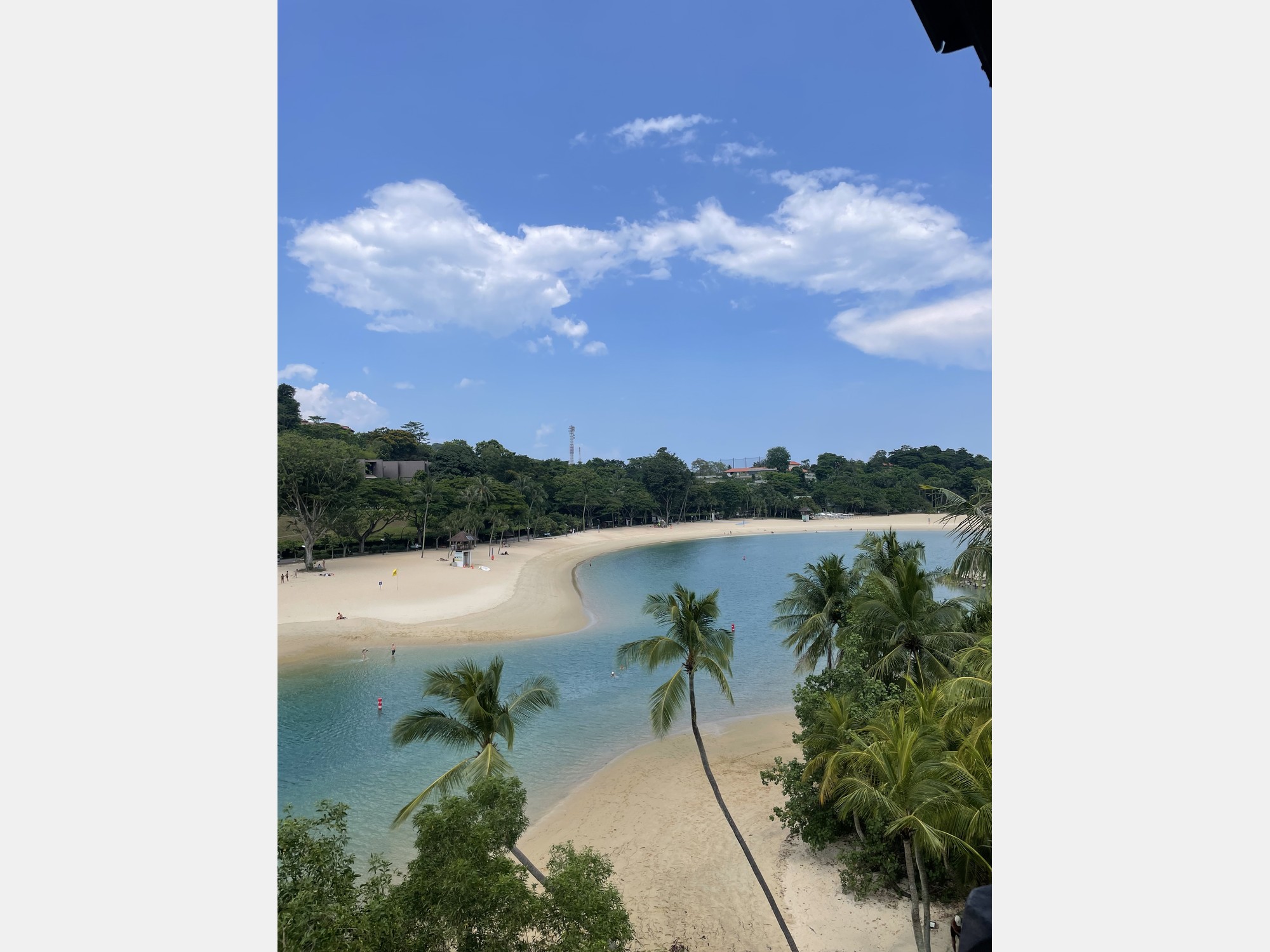 Image from National University of Singapore