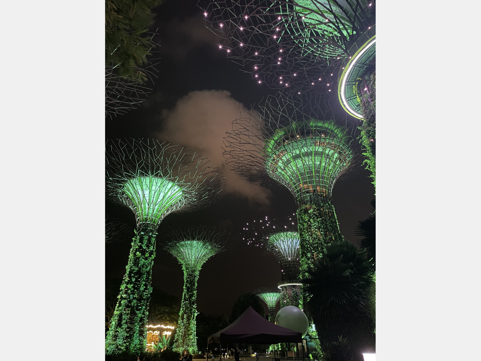Image from National University of Singapore