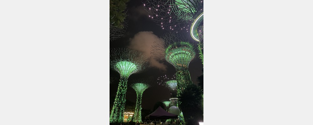 Image from National University of Singapore