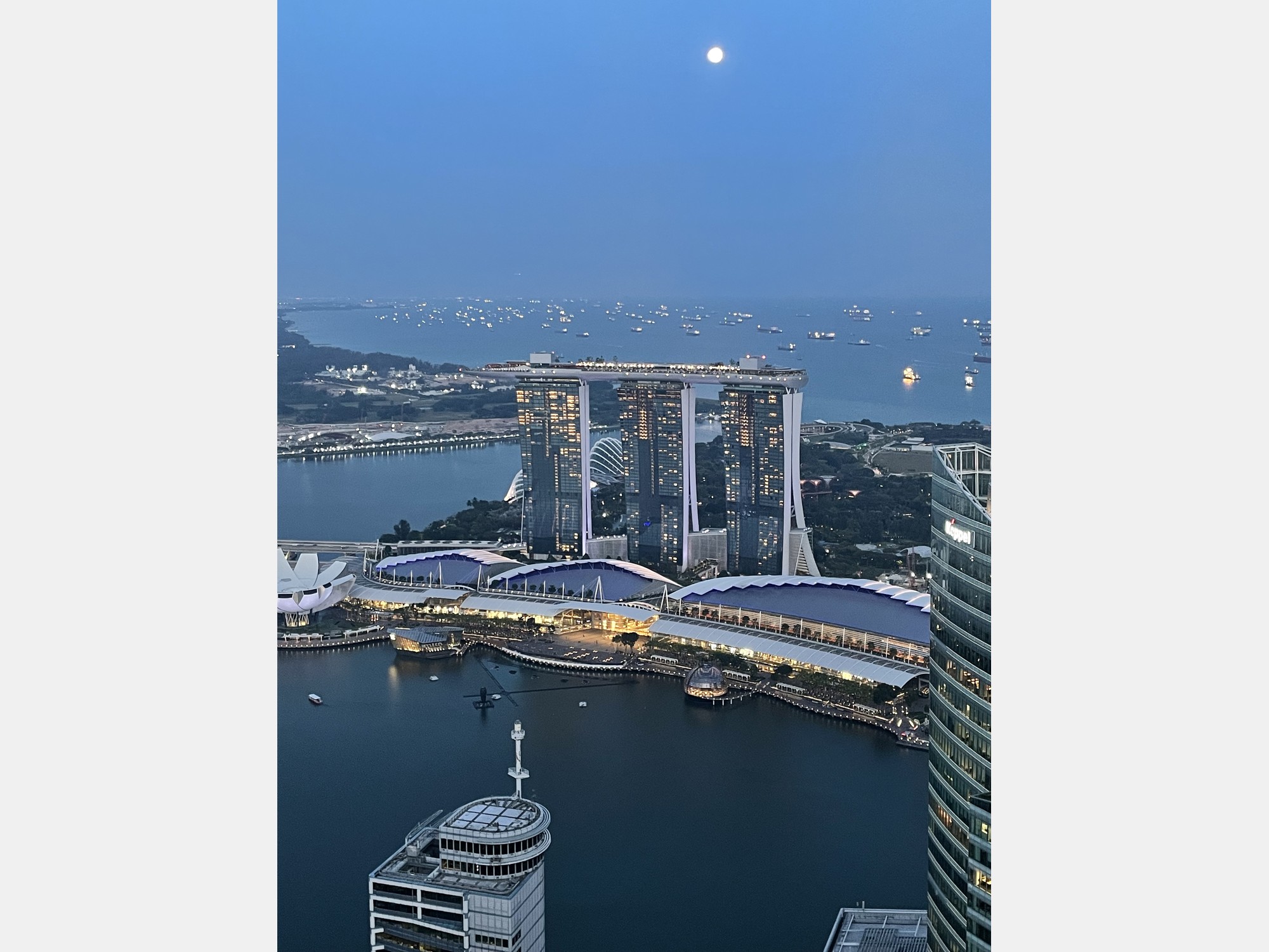 Image from National University of Singapore