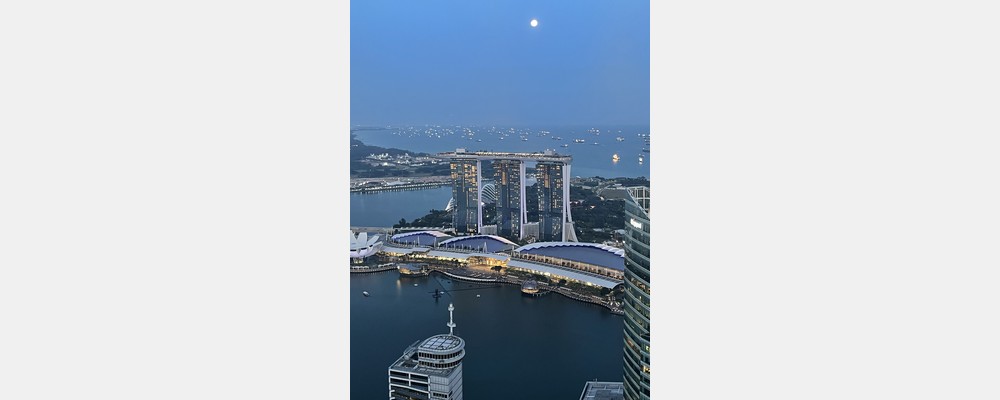 Image from National University of Singapore