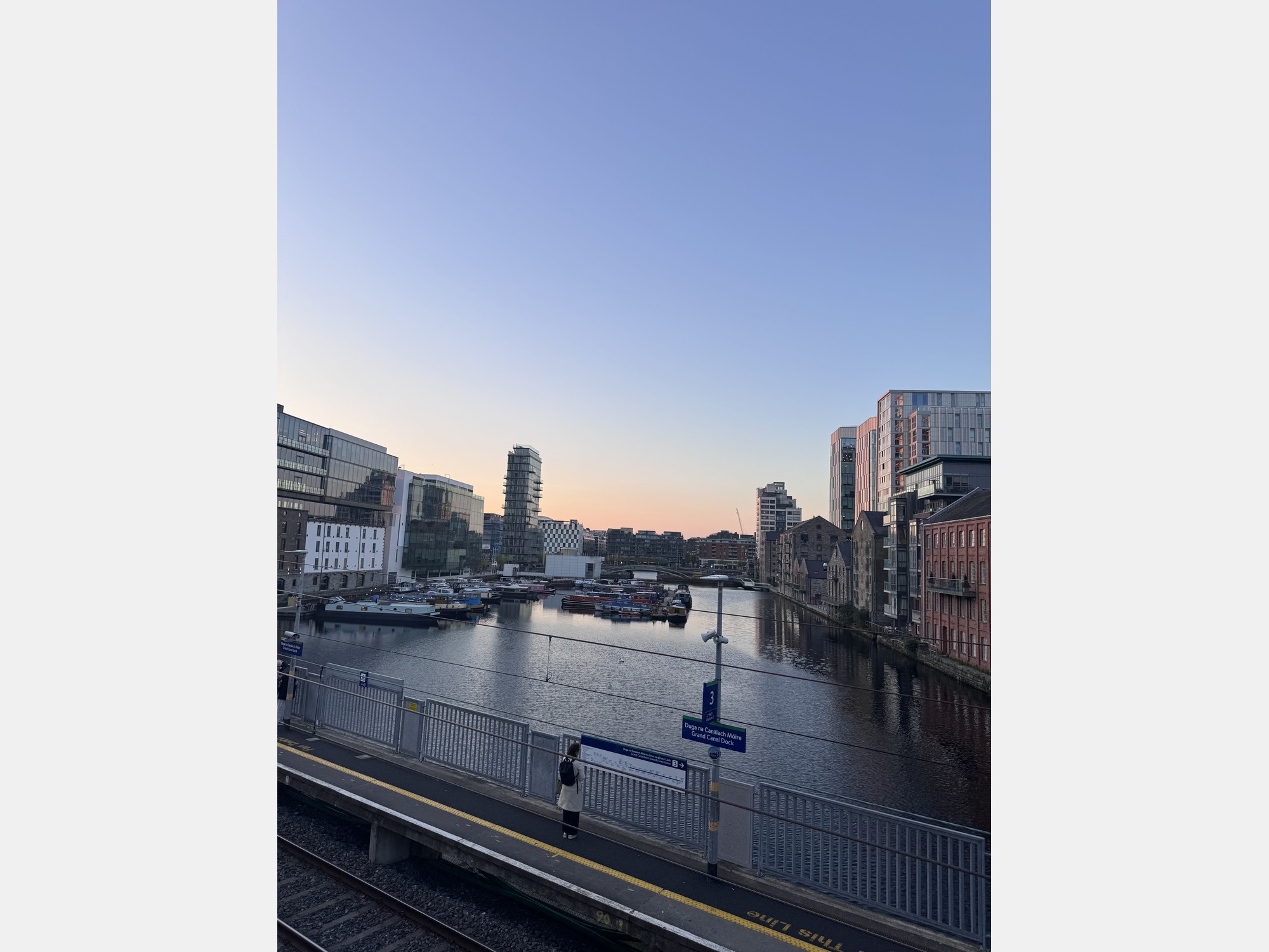Image from University College Dublin