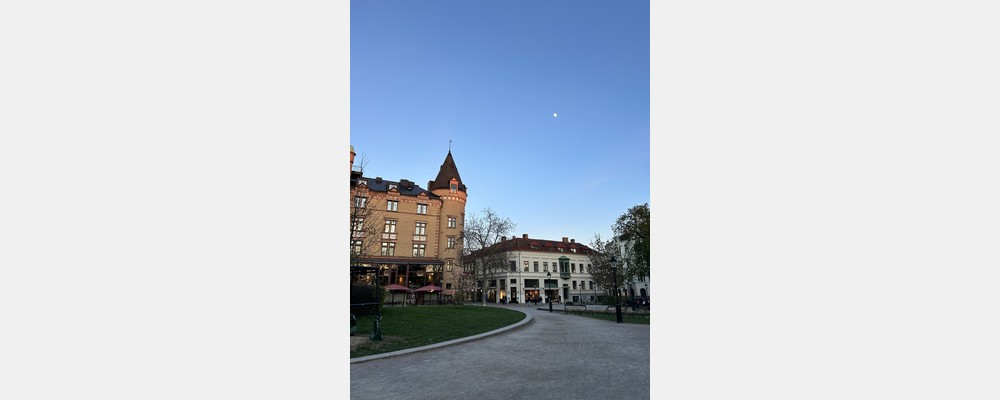 Image from Lund University