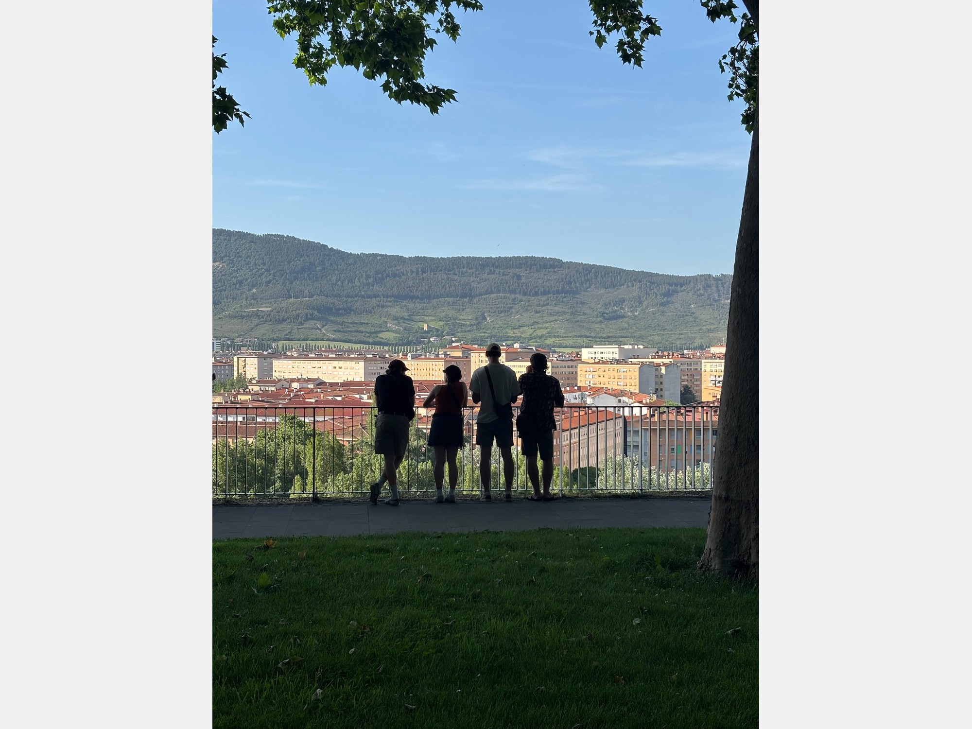 Image from Universidad de Navarra