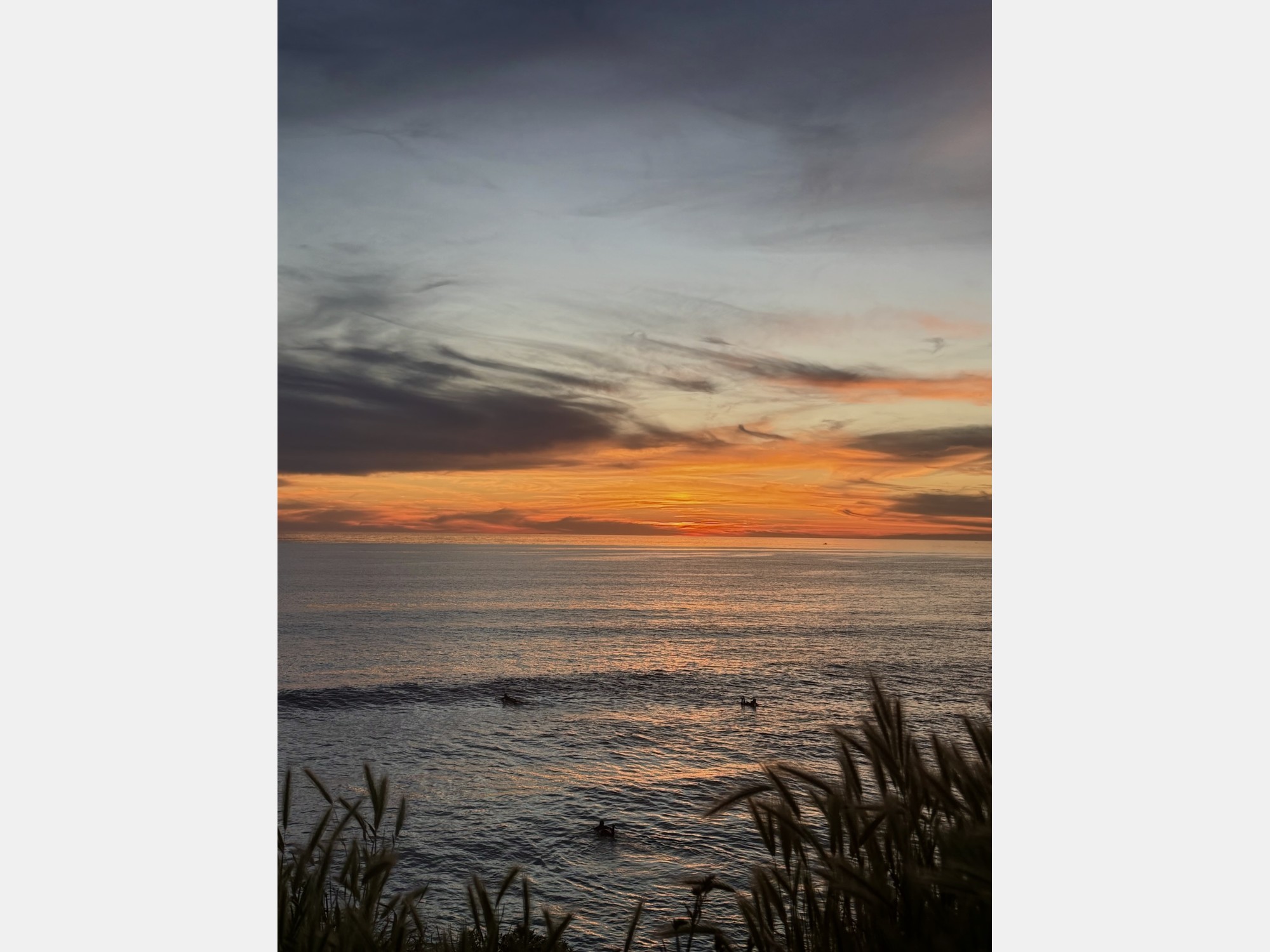 Image from San Diego State University