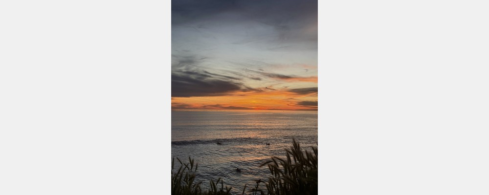 Image from San Diego State University