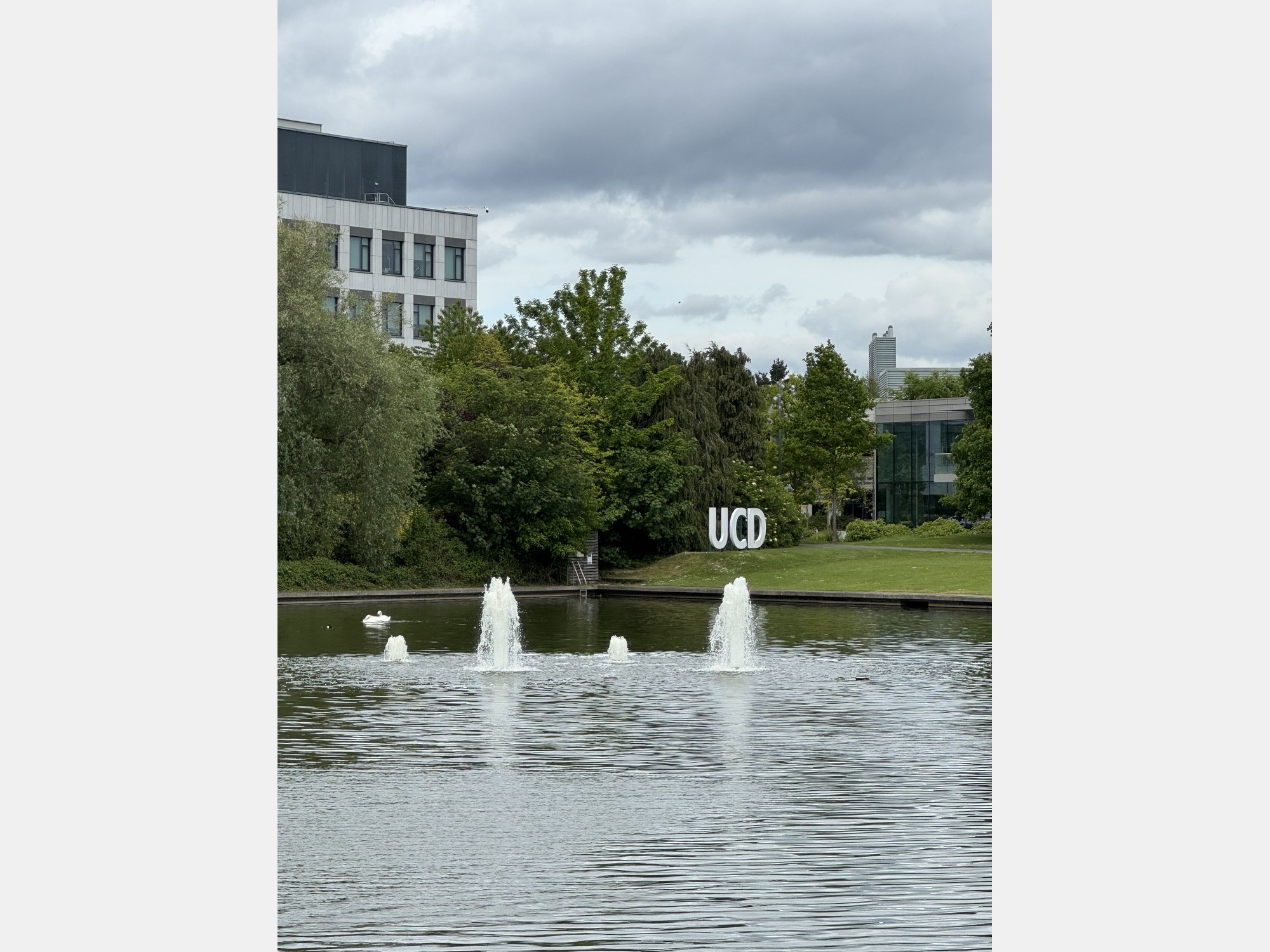 Image from University College Dublin