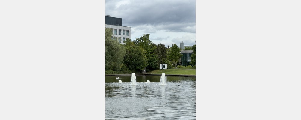Image from University College Dublin