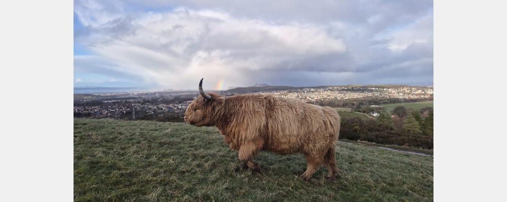 Image from The University of Edinburgh
