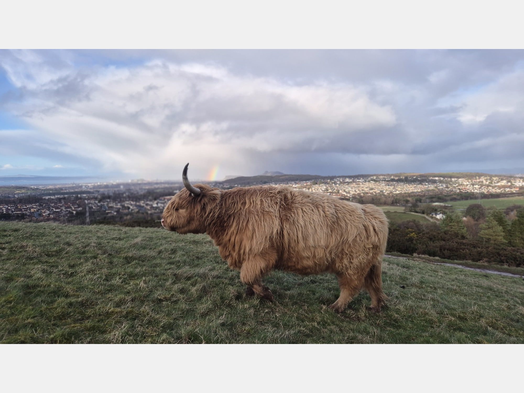Image from The University of Edinburgh