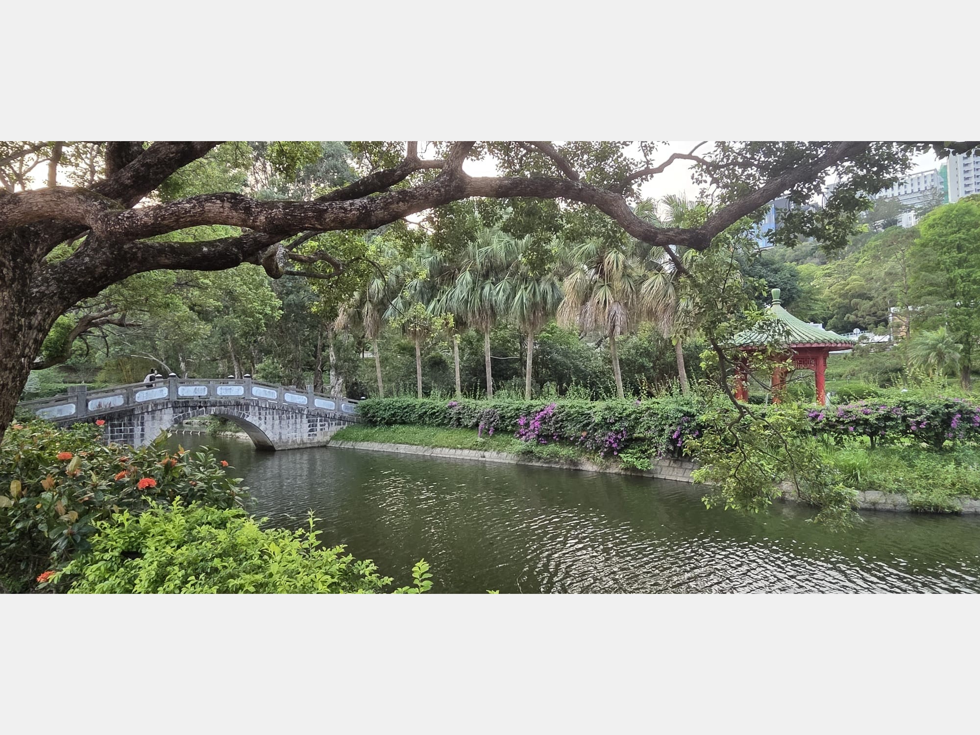 Image from The Chinese University of Hong Kong