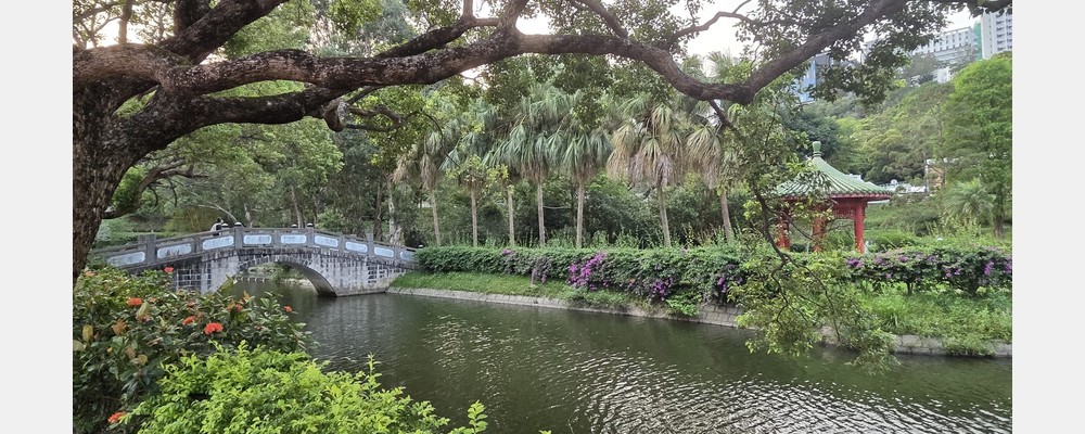 Image from The Chinese University of Hong Kong