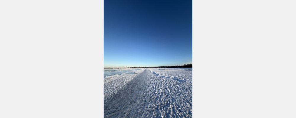 Image from Estonian Business School