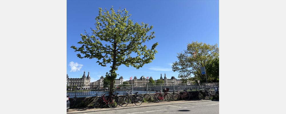 Image from Copenhagen Business School