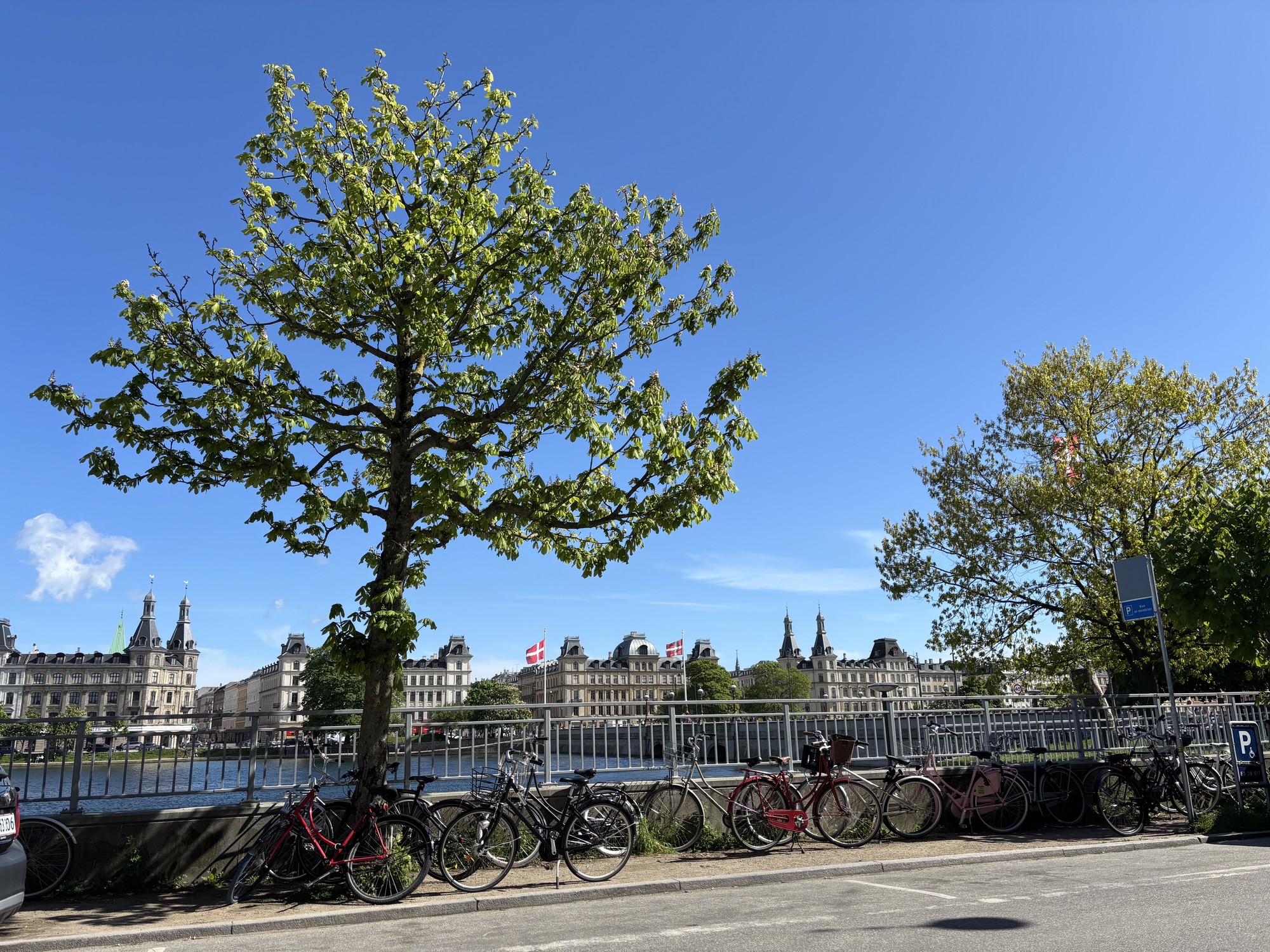 Image from Copenhagen Business School