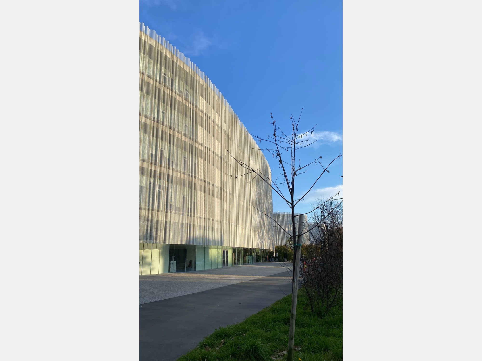 Image from Università Commerciale Luigi Bocconi