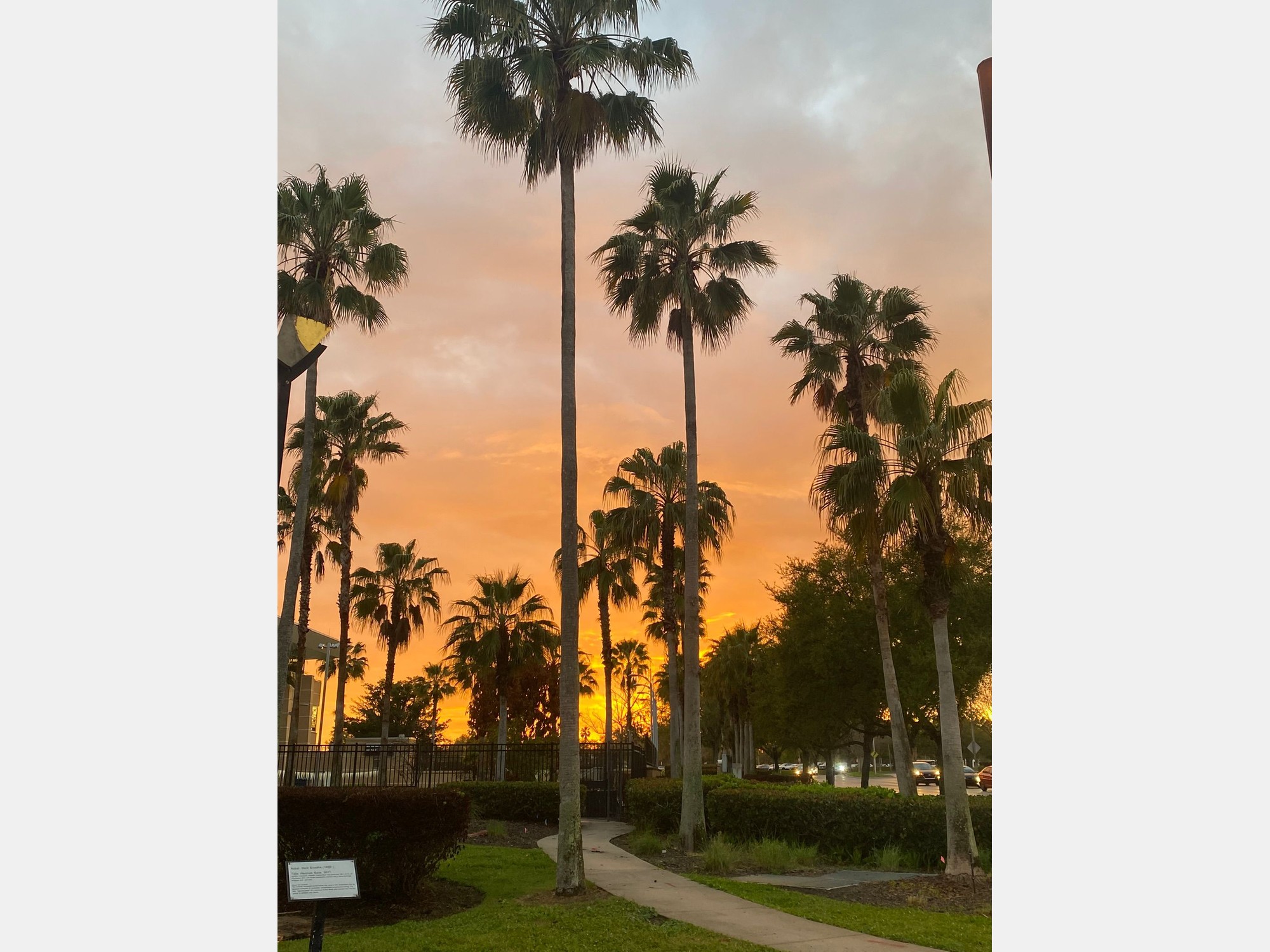 Image from University of Central Florida