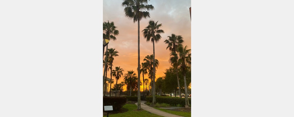 Image from University of Central Florida