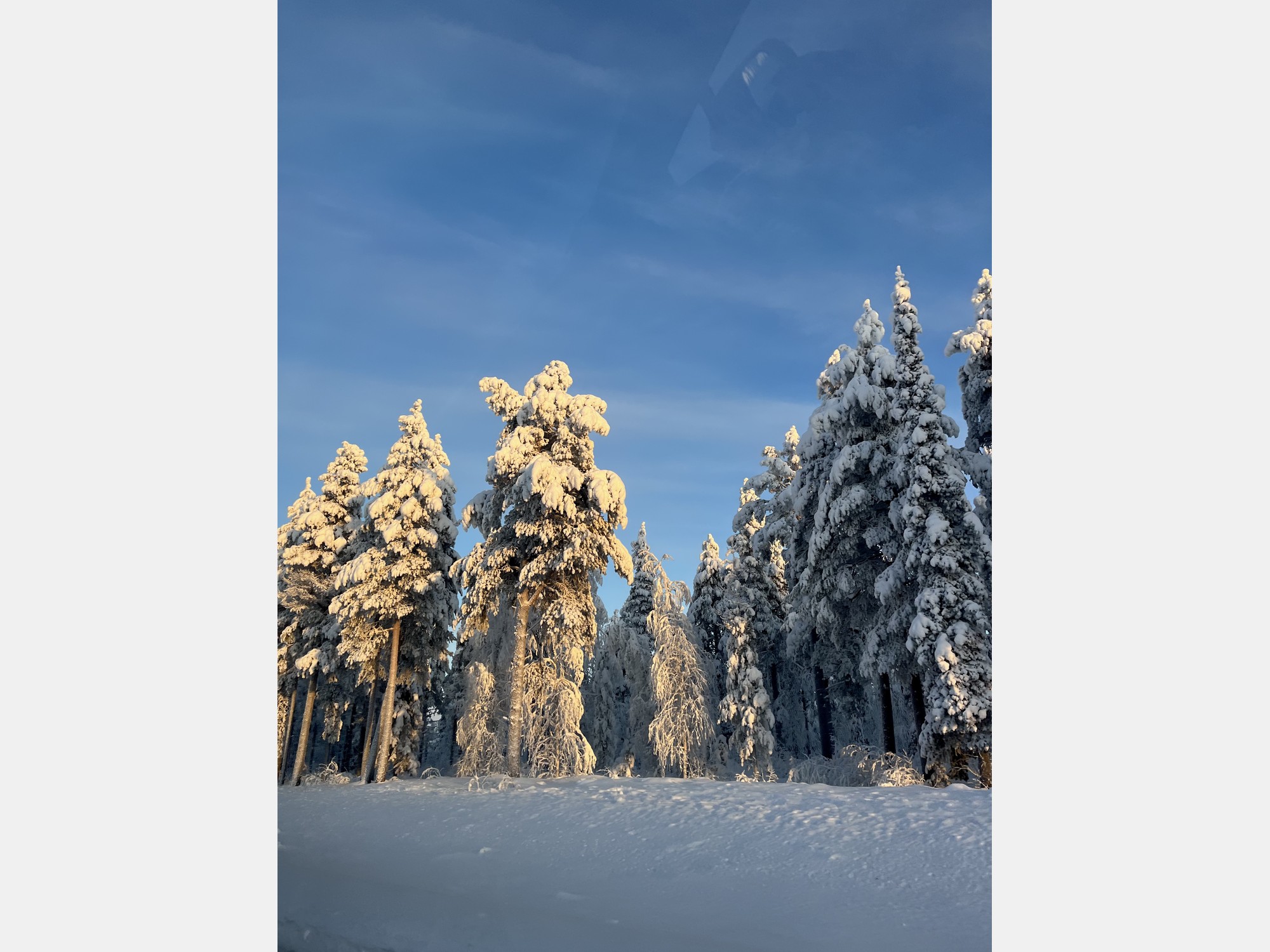 Image from Aalto University