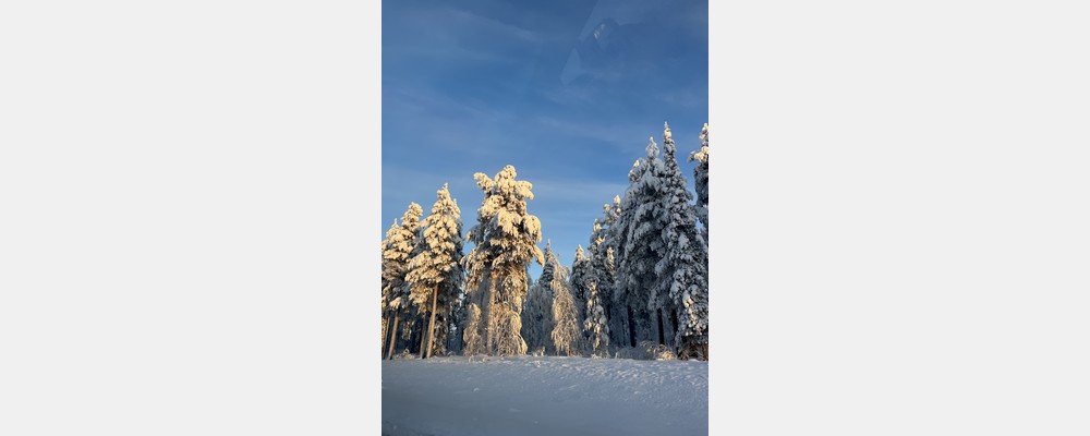 Image from Aalto University