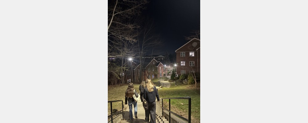 Image from Bentley University