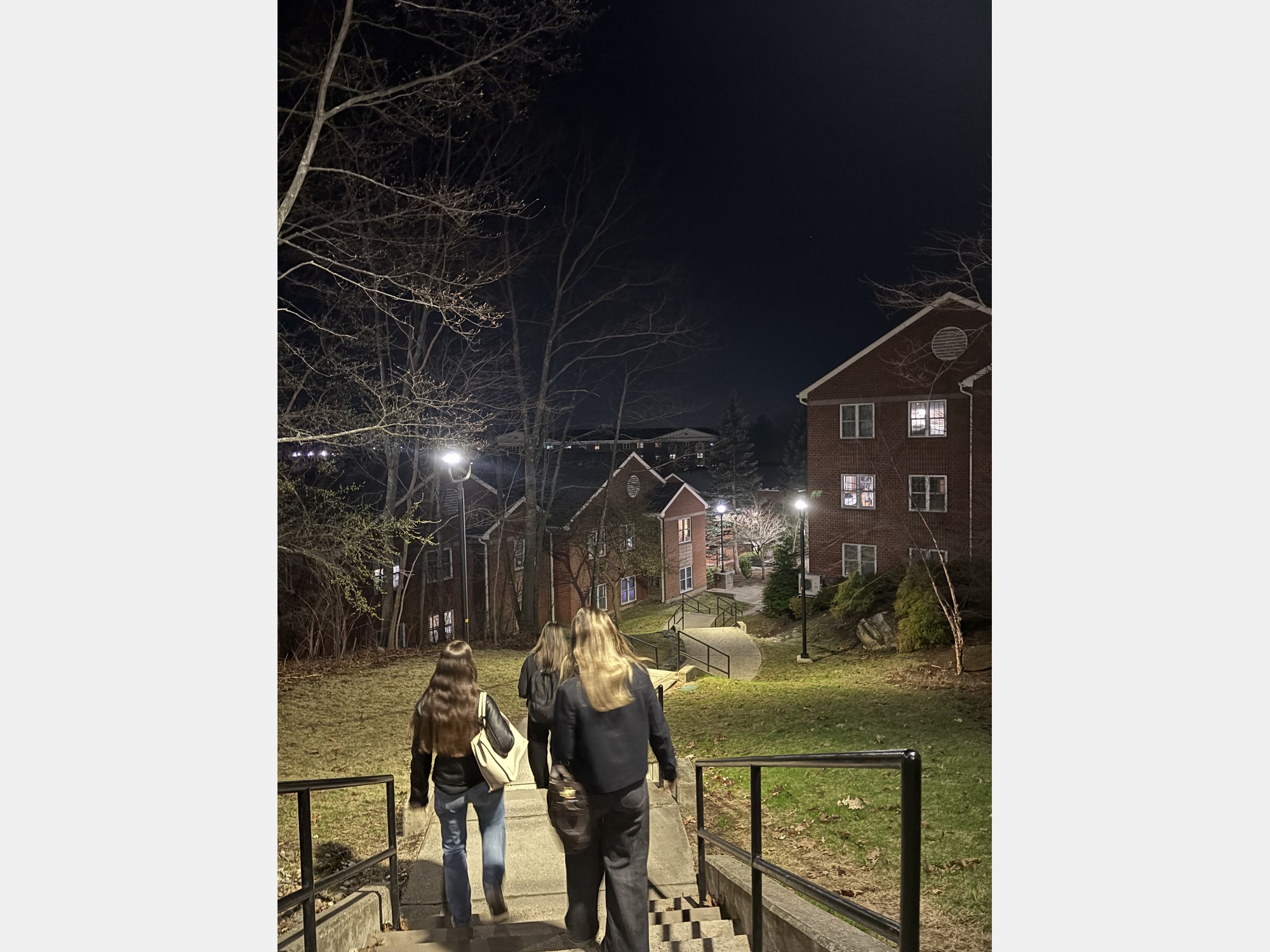 Image from Bentley University