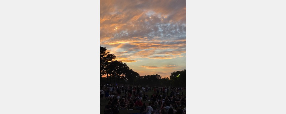 Image from North Carolina State University