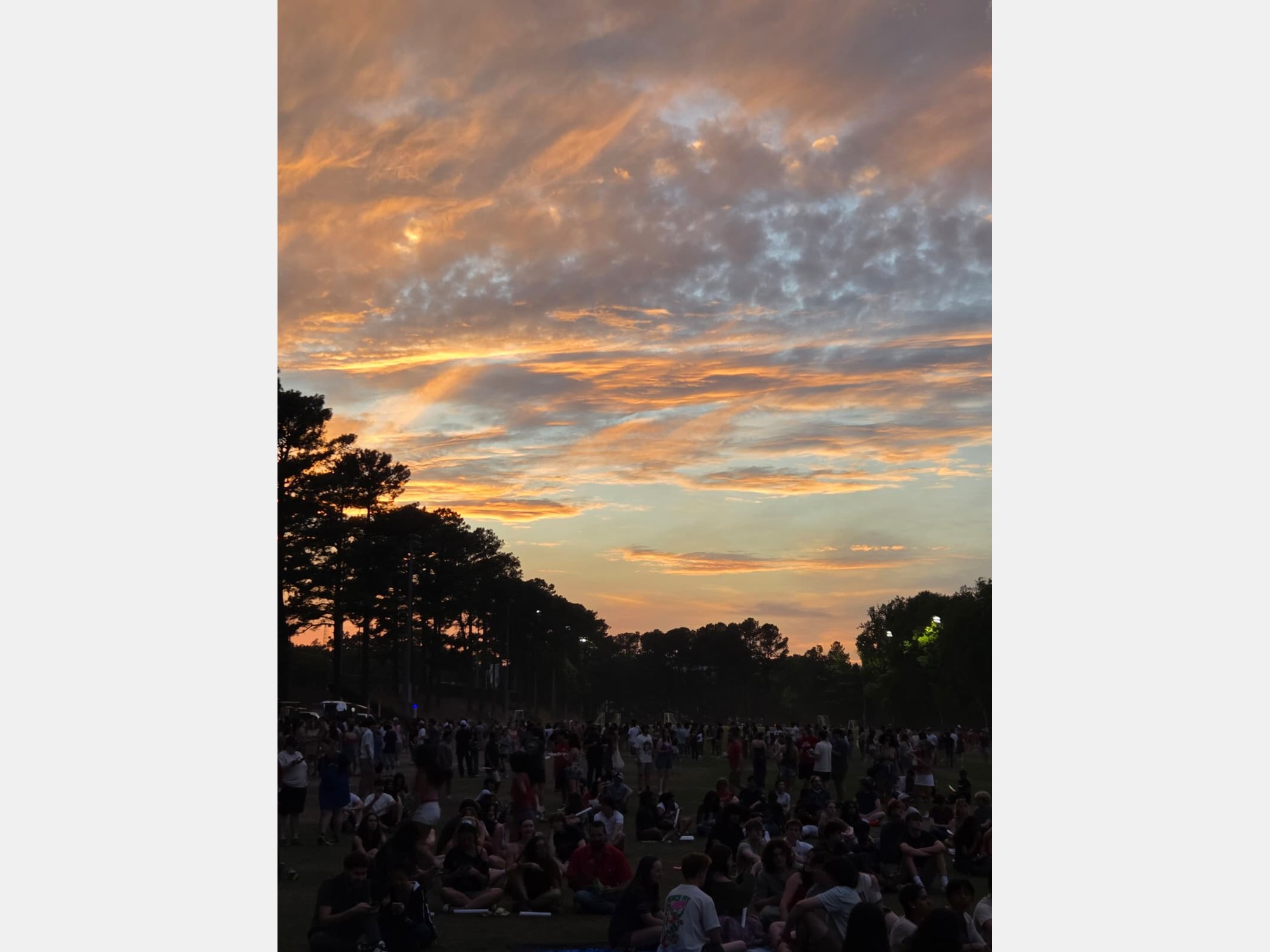 Image from North Carolina State University