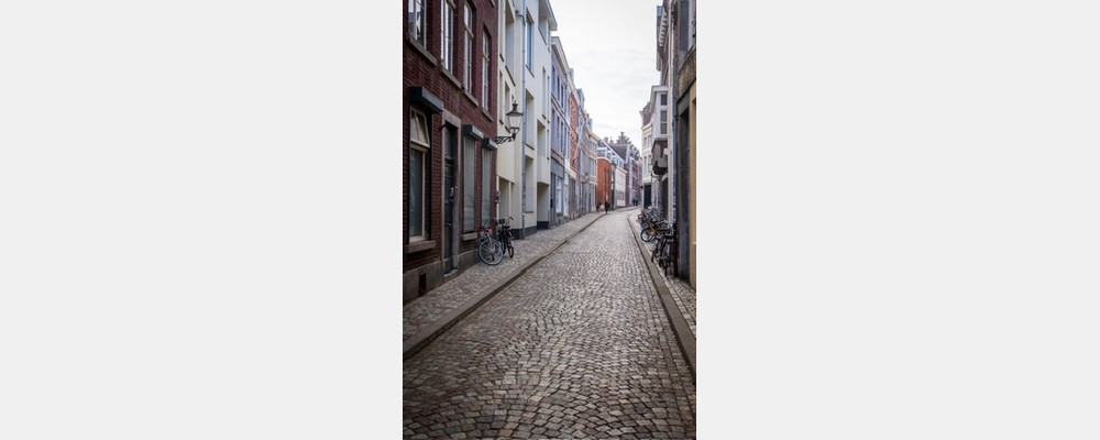 Image from Maastricht University