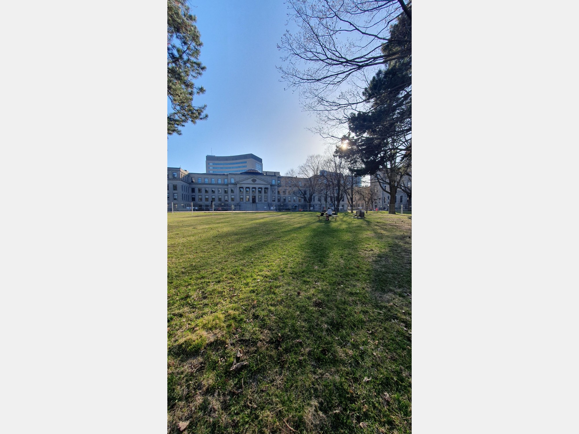 Image from University of Ottawa