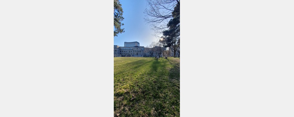Image from University of Ottawa