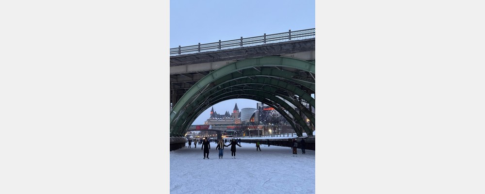 Image from University of Ottawa