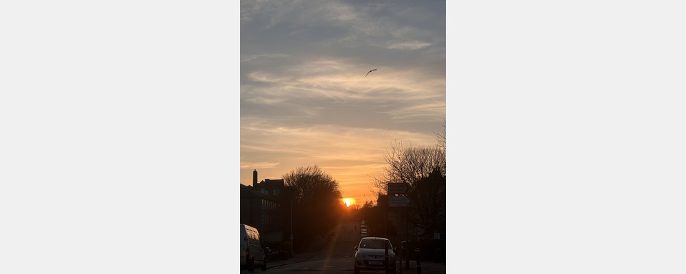 Image from University of Aberdeen