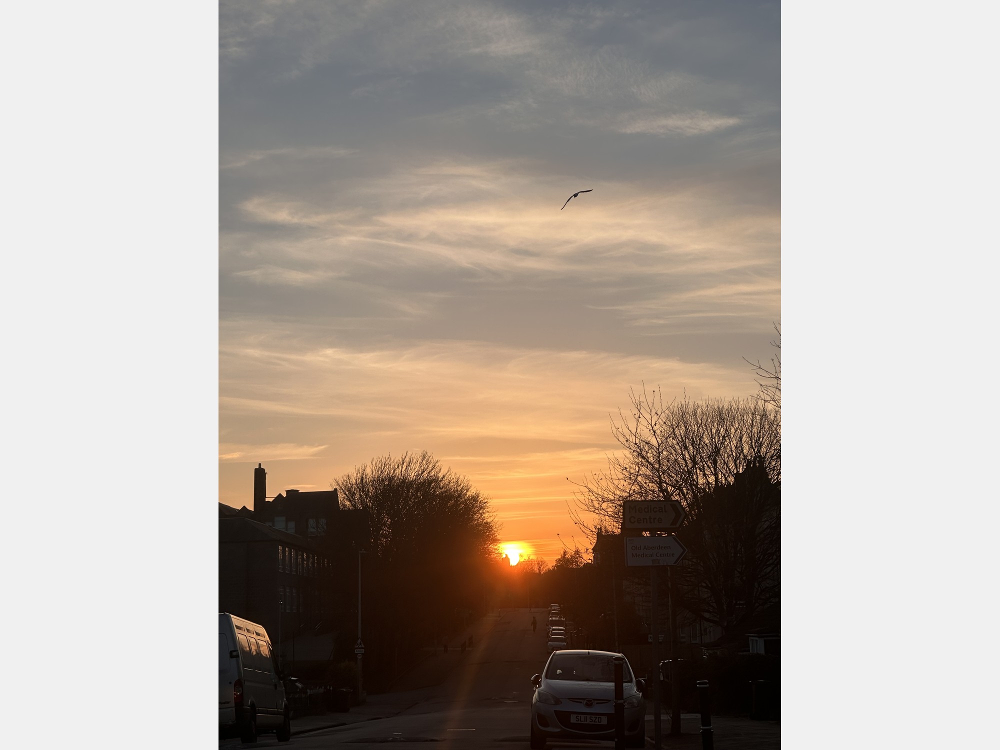 Image from University of Aberdeen