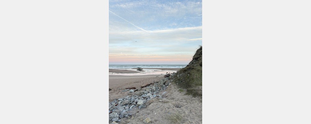 Image from University of Aberdeen