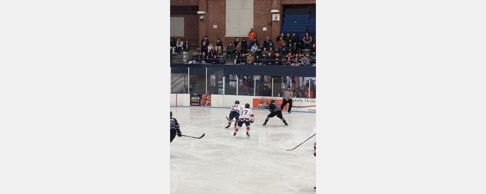 Image from The University of Illinois at Urbana-Champaign