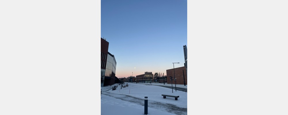 Image from Aalto University