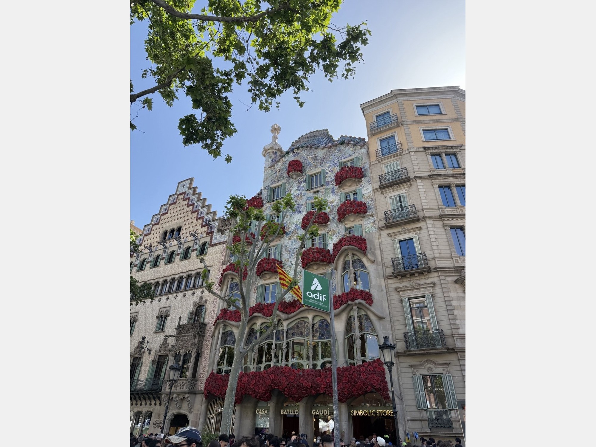 Image from Universitat Autònoma de Barcelona