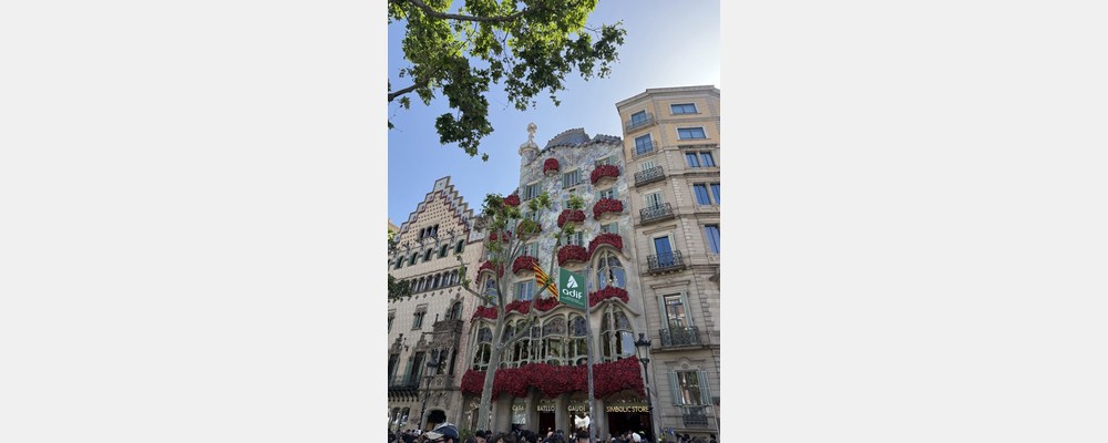 Image from Universitat Autònoma de Barcelona