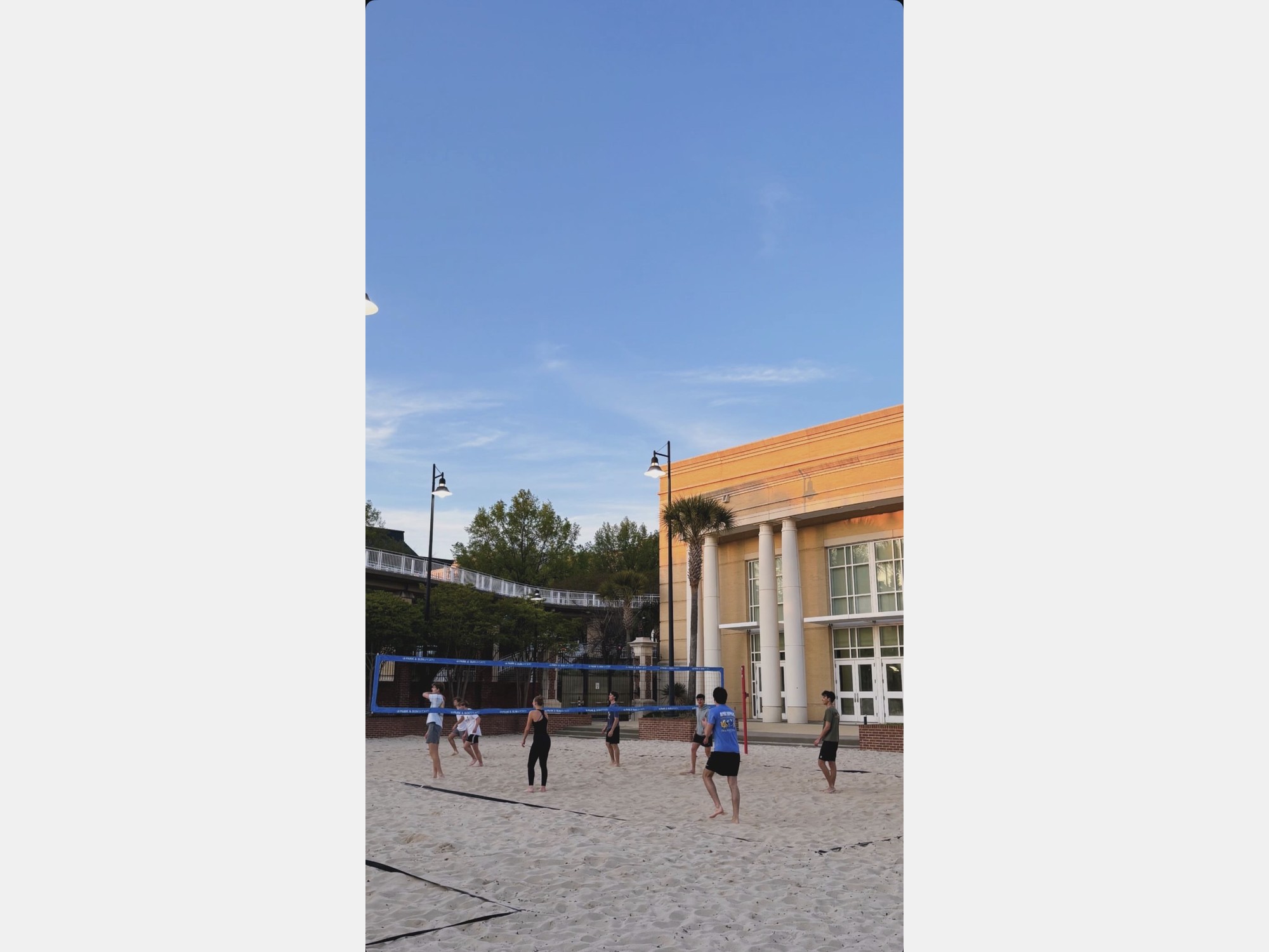 Image from University of South Carolina