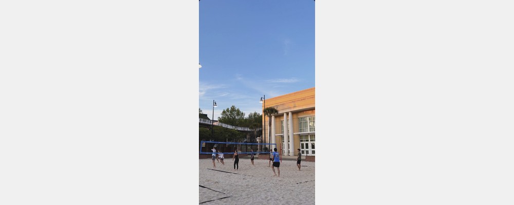 Image from University of South Carolina