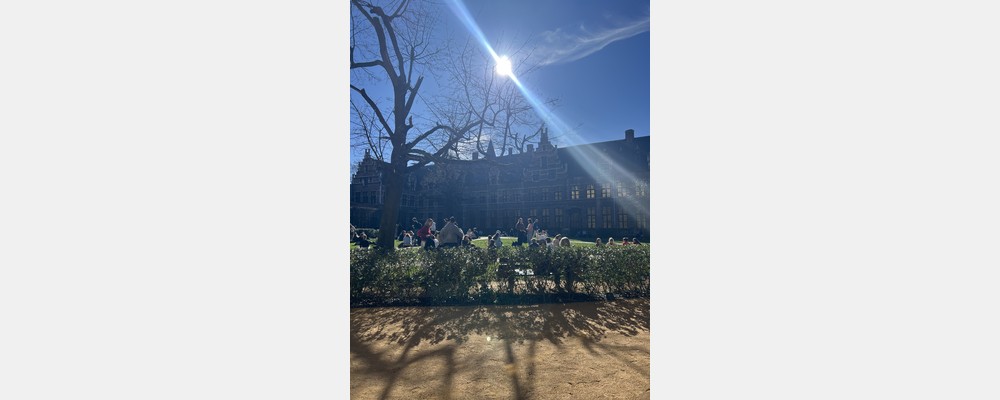 Image from University of Antwerp