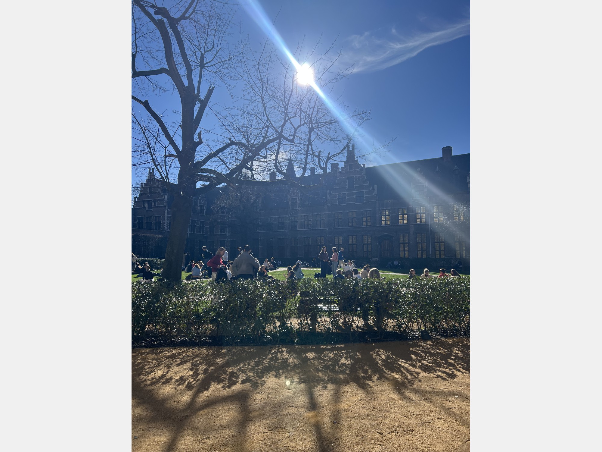 Image from University of Antwerp