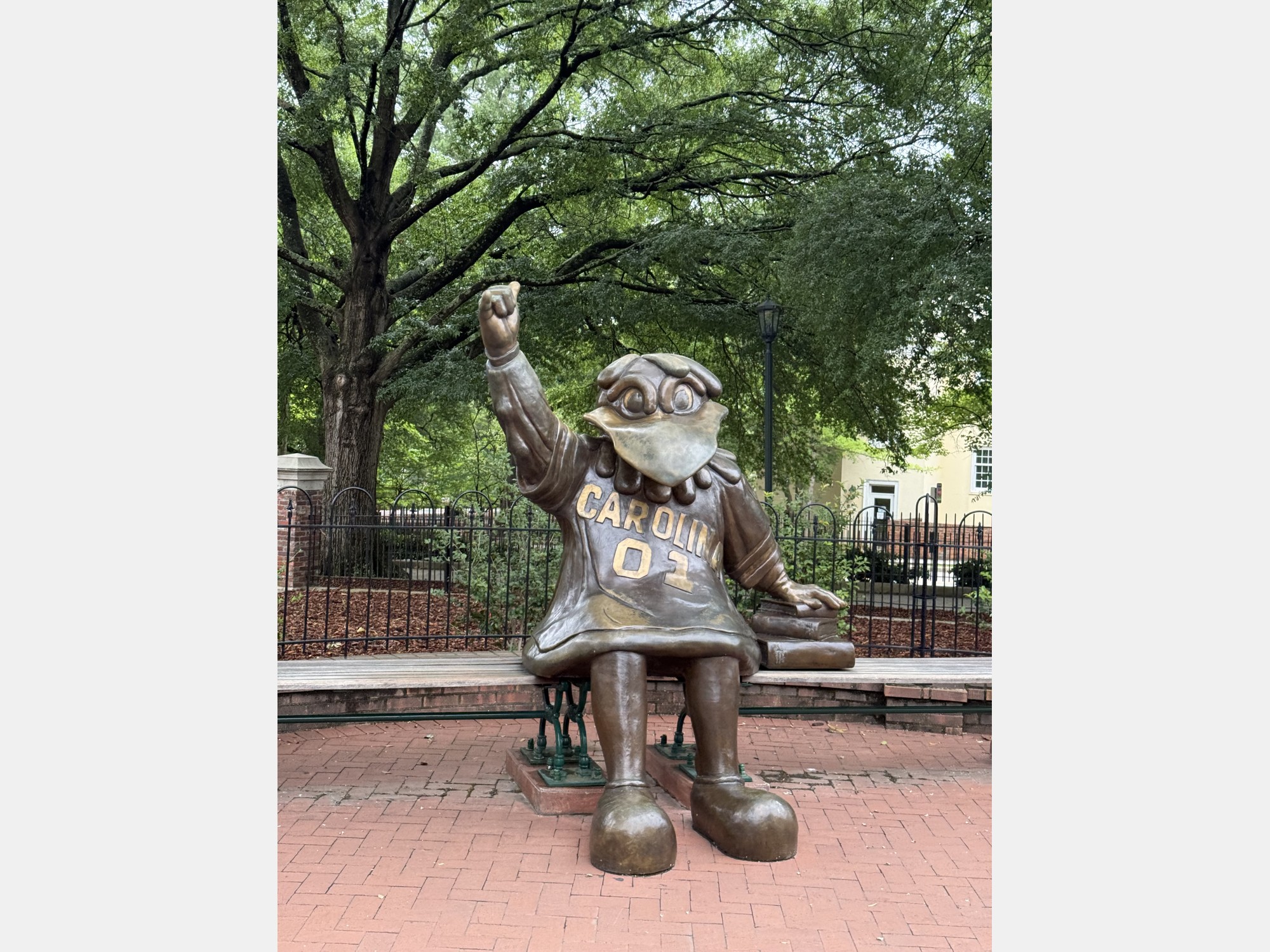 Image from University of South Carolina